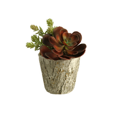 Mixed Assortment Arrangement in Planter