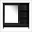 Armoire à miroir 30 po 2 en 1 avec tablette réglable, charnières à fermeture en douceur, panneau de fibres à densité moyenne de haute qualité pour le rangement de la salle de bain et de la chambre à coucher-215386048