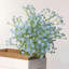 Arrangement floral Baby's Breath-1070477551-1070477539