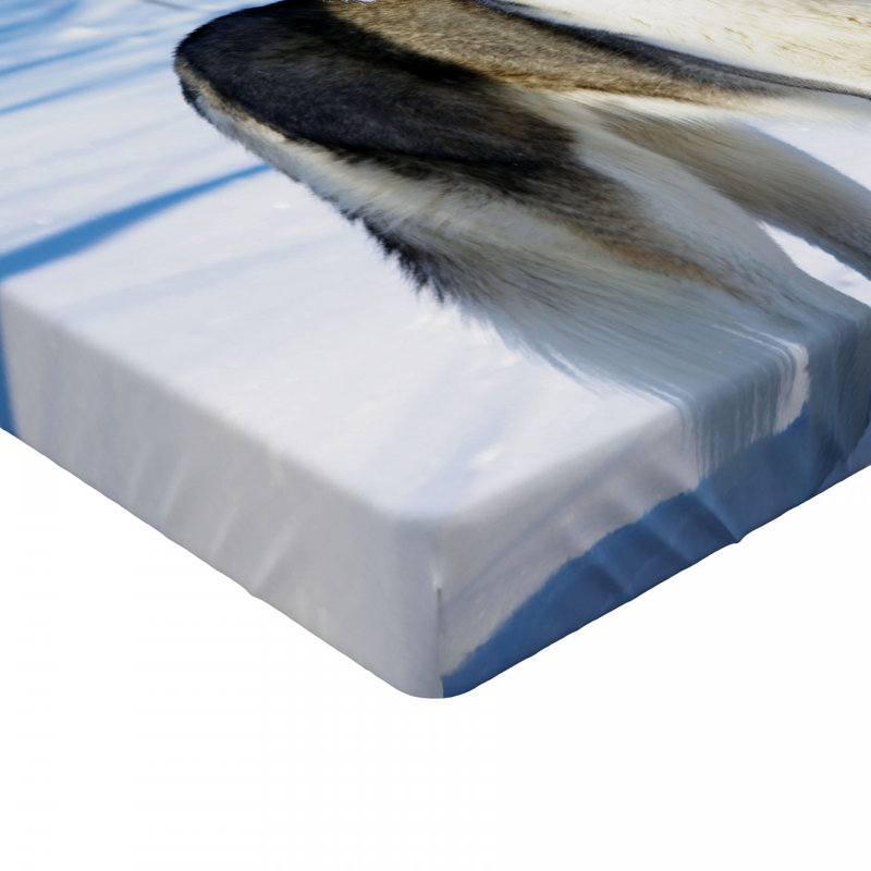 Microfiber Fitted Sheet, Full Fitted Sheet