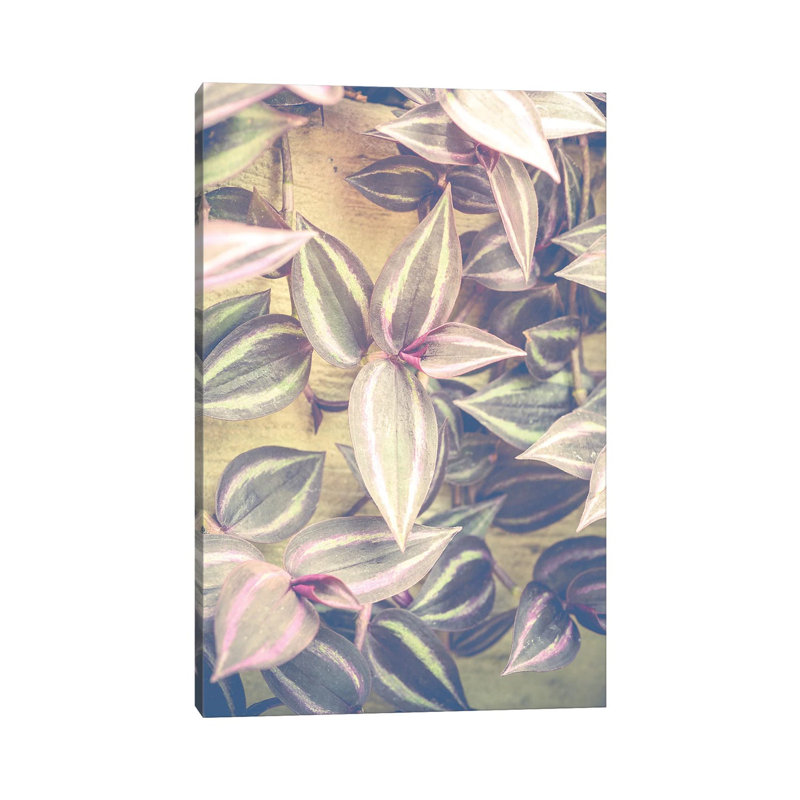 Trailing Leaves 1 Piece Wrapped Canvas Wall Art, 30.48 cm H x 45.72 cm W