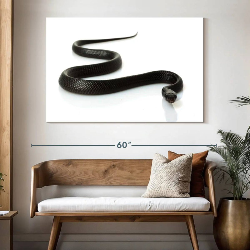 Brampt Eastern Indigo Snake, 34" H x 51" W