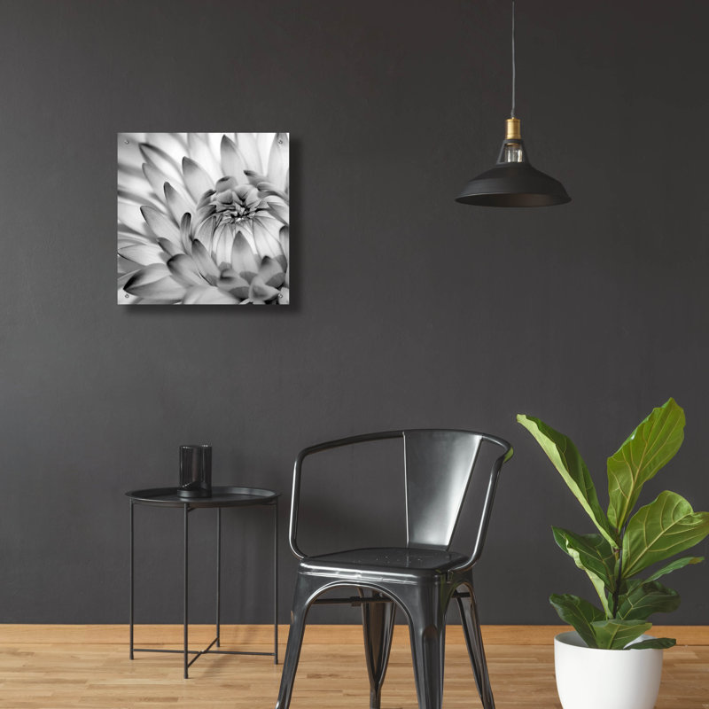 «Lark Manor ™« Fibonacci 2 »par Photoinc Studio, art mural en verre acrylique, H 24 po x l 24 po x P 0,2 po