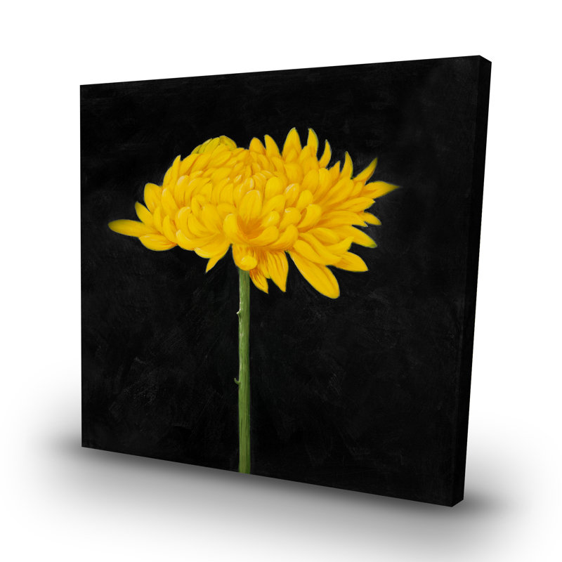 Chrysanthemum - 32"x32" art on canvas