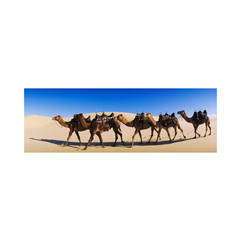 Camels Walking In The Desert - Wrapped Canvas Panoramic Print, 182.88 cm H x 60.96 cm W