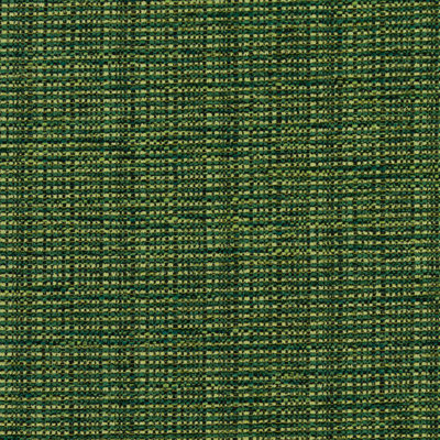 Bronco Fabric