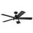 52'' Ceiling Fan with LED Lights-442598559