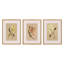 Blooms I Triptych By Brittney Shulz-1713779345