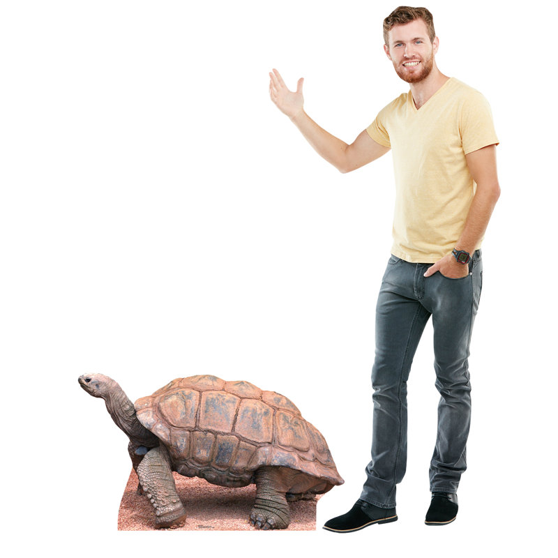 Animals Cardboard Standup