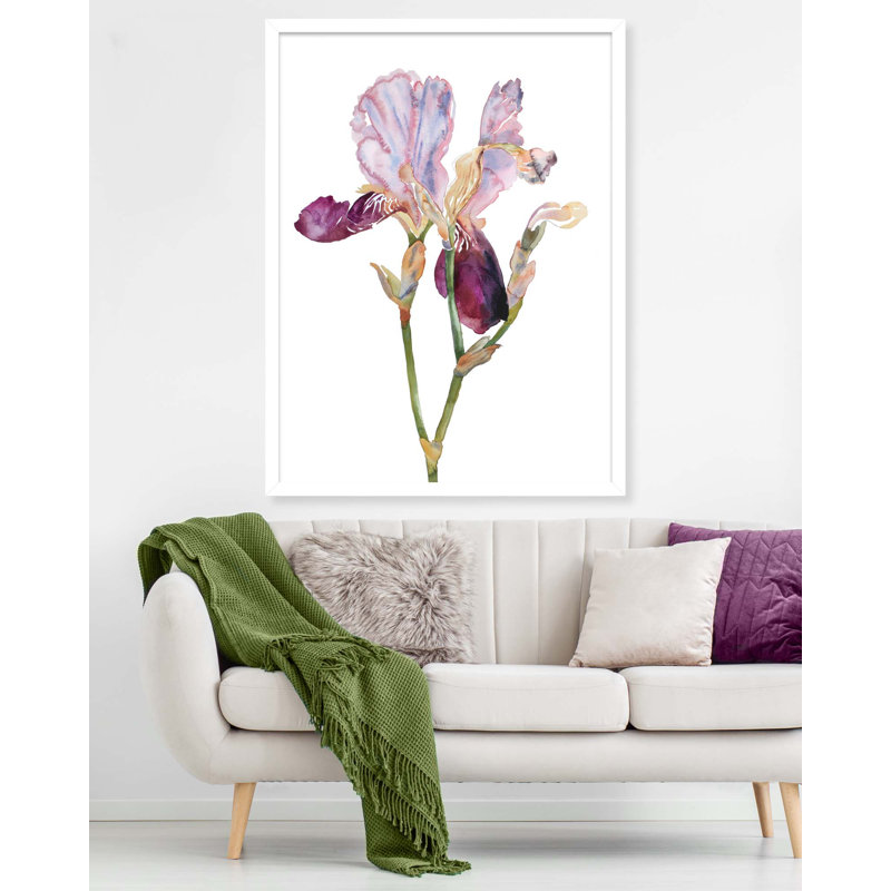 Iris No. 198 Print by Elizabeth Becker