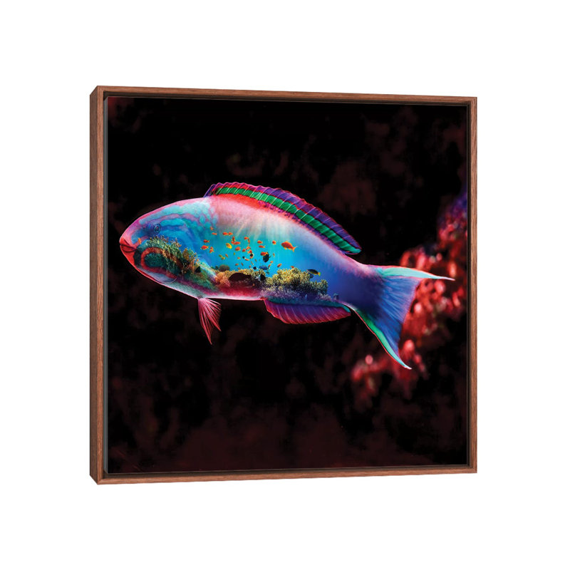 Fish 1 Piece Wall Art on Canvas, 66.04 cm H x 66.04 cm W, Classic Brown Wood Framed