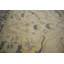 Tapis oriental en laine beige / bleu estompé 4 pi 11 po x 8 pi 4 po Oriental Machine