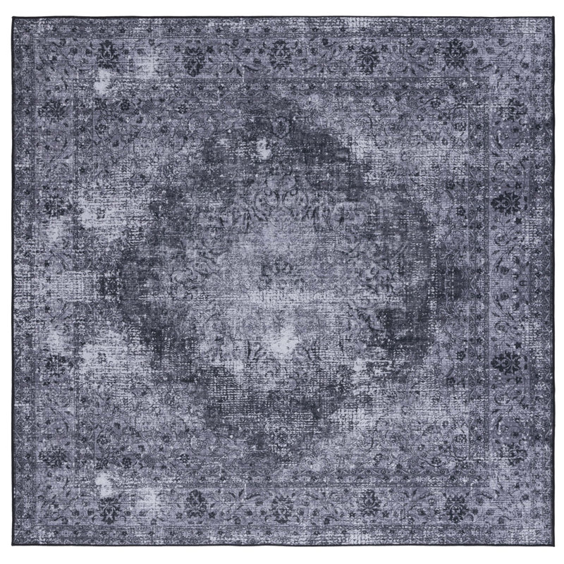 Akintomiwa Tucson Performance Machine Washable Oriental Rug, Square 6'