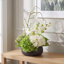 Organic Modern Arrangement with Orchids and Hydrangeas-988757373
