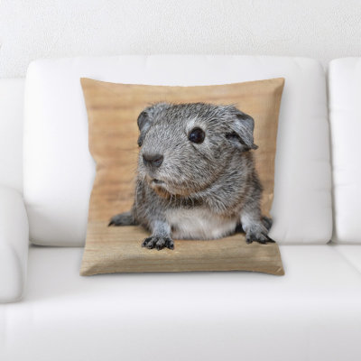 Guinea Pig Throw Pillow
