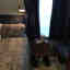 Customer photo 1 of 2