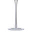 Midnight Champagne Flutes