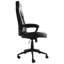Fauteuil de jeu Kylese