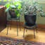 Support pour plante Chivan-1150437751