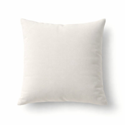 Indoor/Outdoor Throw Pillow
