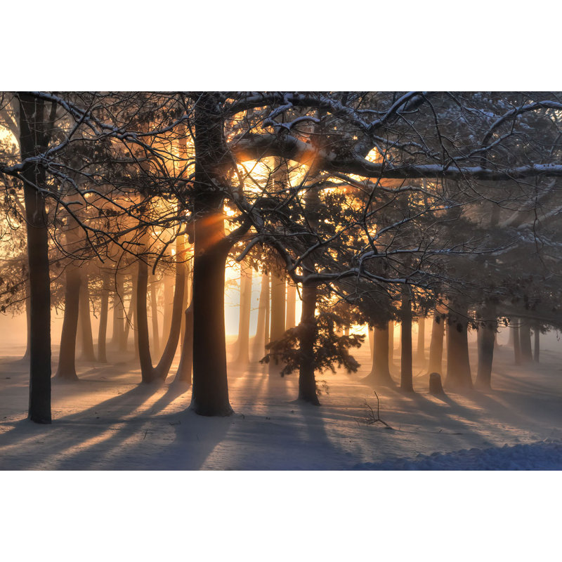 Lever de soleil dans une forêt enneigée sur toile