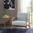 Lounge Chair, Comfort Chair-1760868393