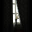 Paire de rideaux occultant et isolants avec œillets-976296710-1014382532