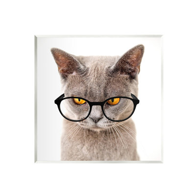 «Cat Face Hipster Glasses», impression sans cadre sur panneau de fibres à densité moyenne