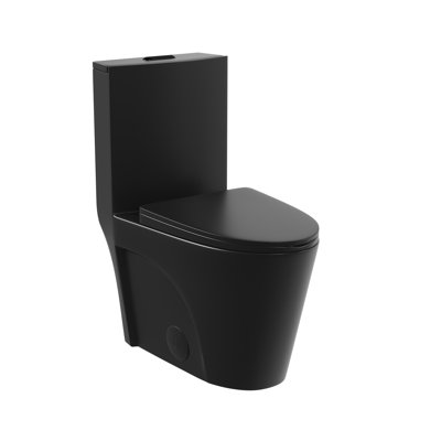 Toilette allongée moderne monobloc Ace 1,6 GPF