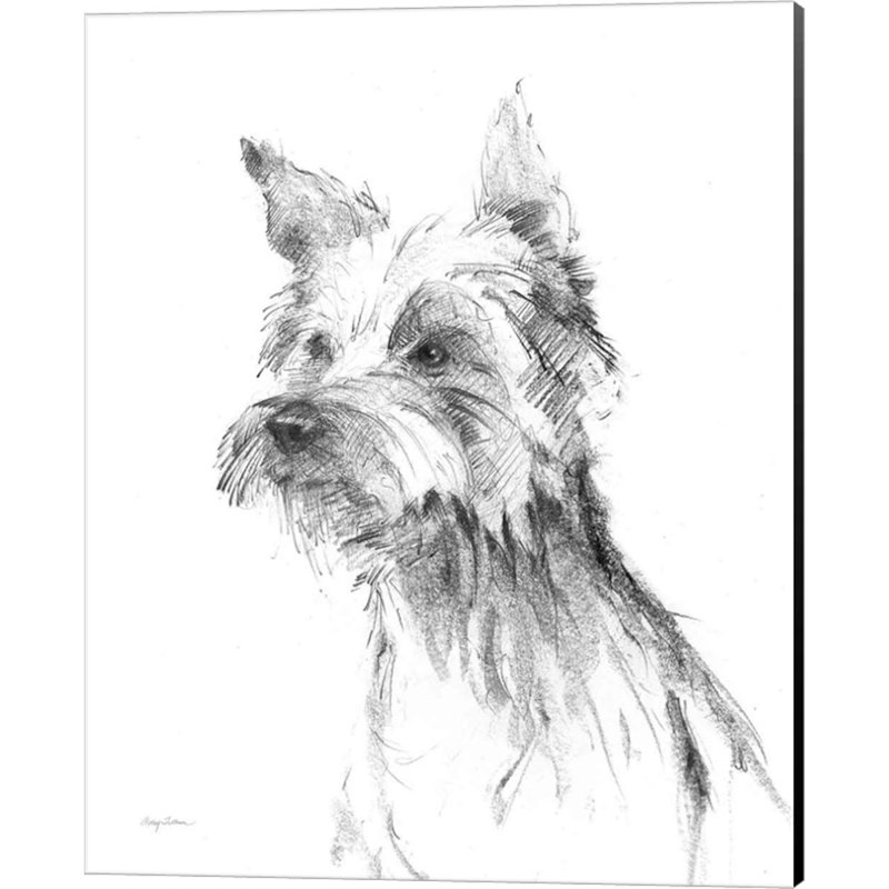 Croquis Goldendoodle, Labradoodle et Yorkshire Terrier par Avery Tillmon - Ensemble de 3 reproductions sur toiles tendues