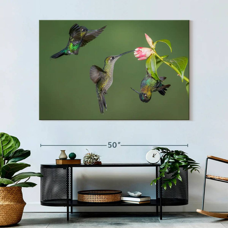 Brampt Three Hummingbirds, 34" H x 51" W
