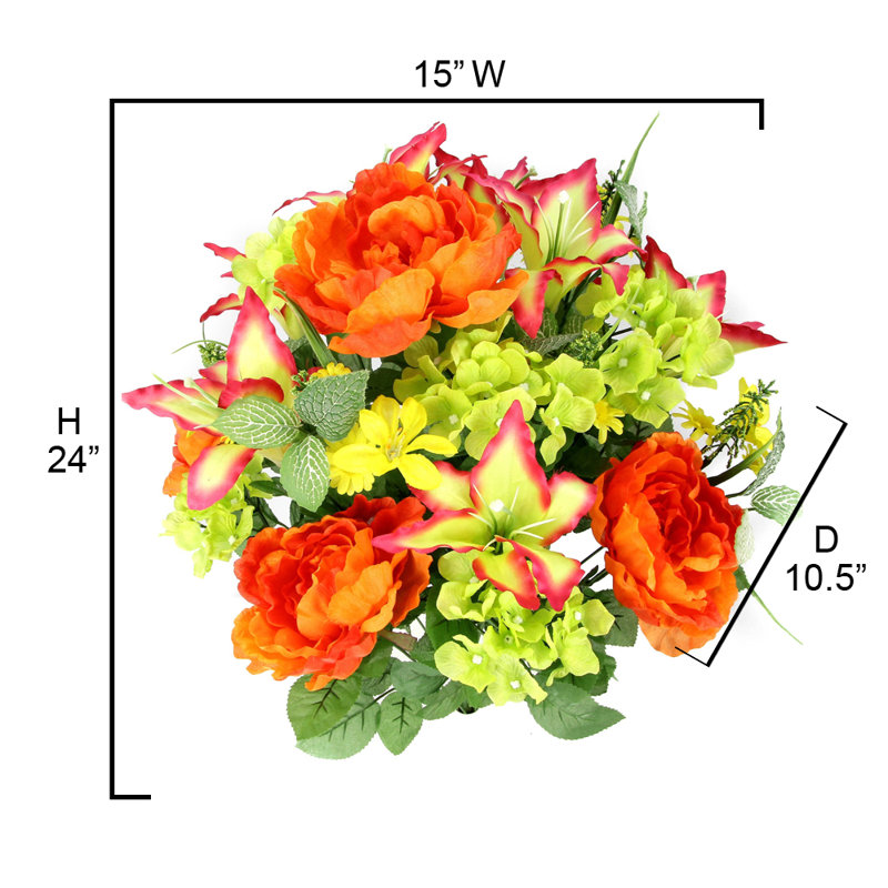 24 arbustes mixtes, Jaune / orange / velours / kiwi