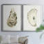 Neutral Oyster Study I - Ensemble de 2 reproductions de cadres photo sur toile-152561801-152561800