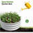 2PCS 32.08"*11.4" Tall Round Raised Garedn Bed,Metal Raised Beds For Vegetables, Outdoor Garden Raised Planter Box, Backyard Patio Planter Raised Beds For Flowers, Herbs, Fruits Silver-1841848455-1841848450-1841848453