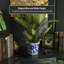 Ceramic Planter-1528577228