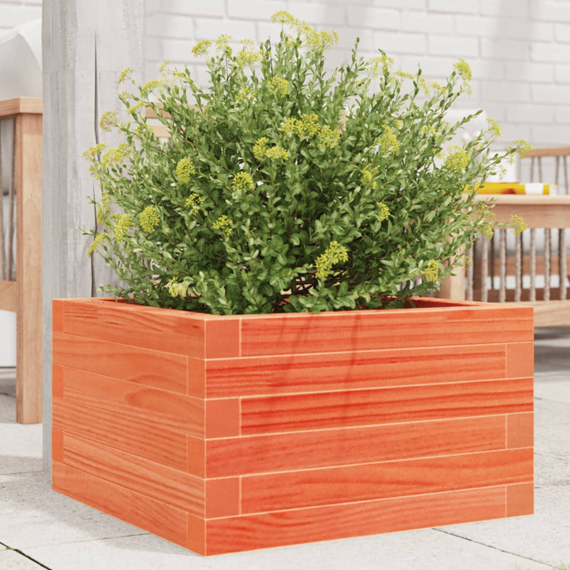 2 Wood Planter, Wax brown, 23cm H x 40 cm W x 40 cm D