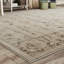 Kourou Oriental Area Rug-23829398