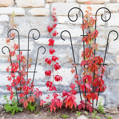 109cm H x 43cm W Metal Fan Trellis