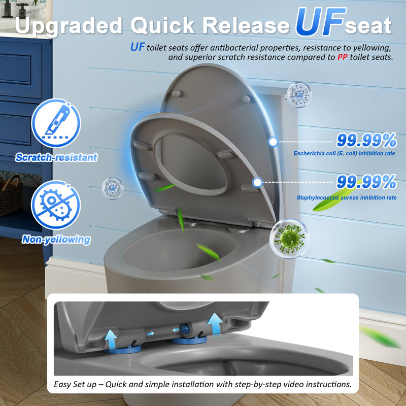 Compact One Piece Modern Elongated Toilet with ADA-Compliant Comfort Height 17.1", Save Water Dual Flush 1.1/1.6 GPF , MAP 1000g (UF Seat Included)