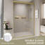 Double porte de douche coulissante-119432142