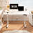 Adjustable Standing Desk, Whole-Piece Desktop-1698519403-1704026239