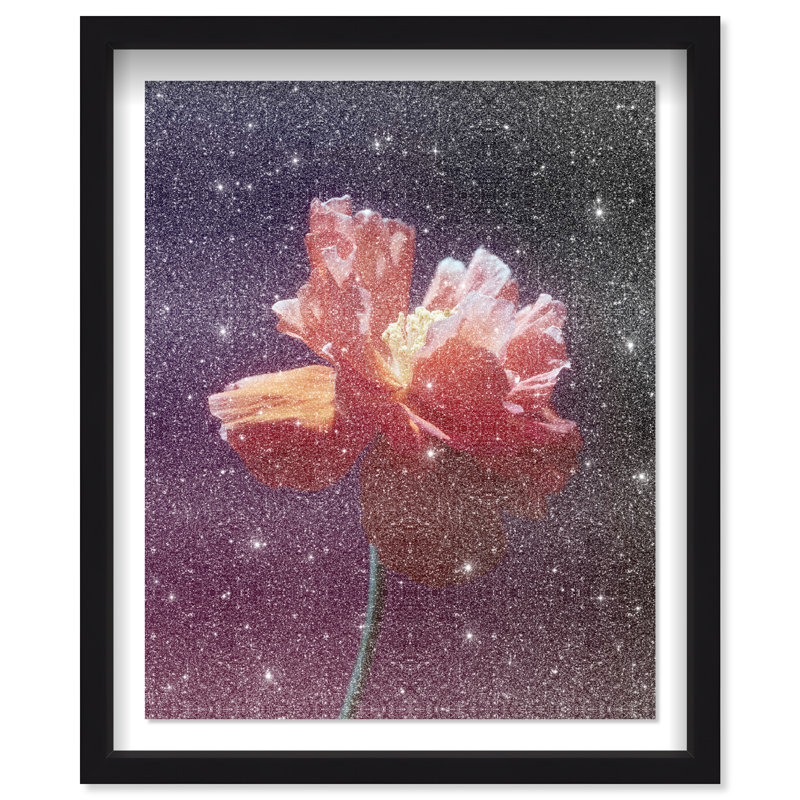 Taffeta Twilight II Shadowbox Floral & Botanical Print by Oliver Gal, Black Frame, 16 x 20, 25.5"H x 31.5"W, Black Shadowbox