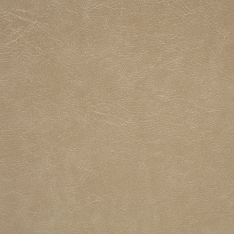 Ortega Upholstered Dining Side Chair Tan, Tan