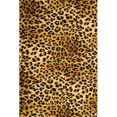 Akshay Animal Print Area Rug