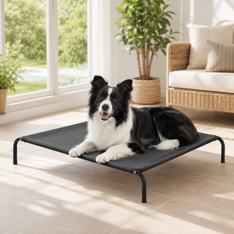 Lit d'extérieur pour chien 49 po, Black