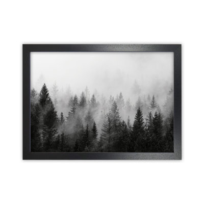 Forest - Print