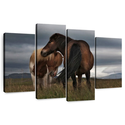 Brampt Free Iceland Pony