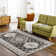 Joaopaulo Oriental Indoor Rug