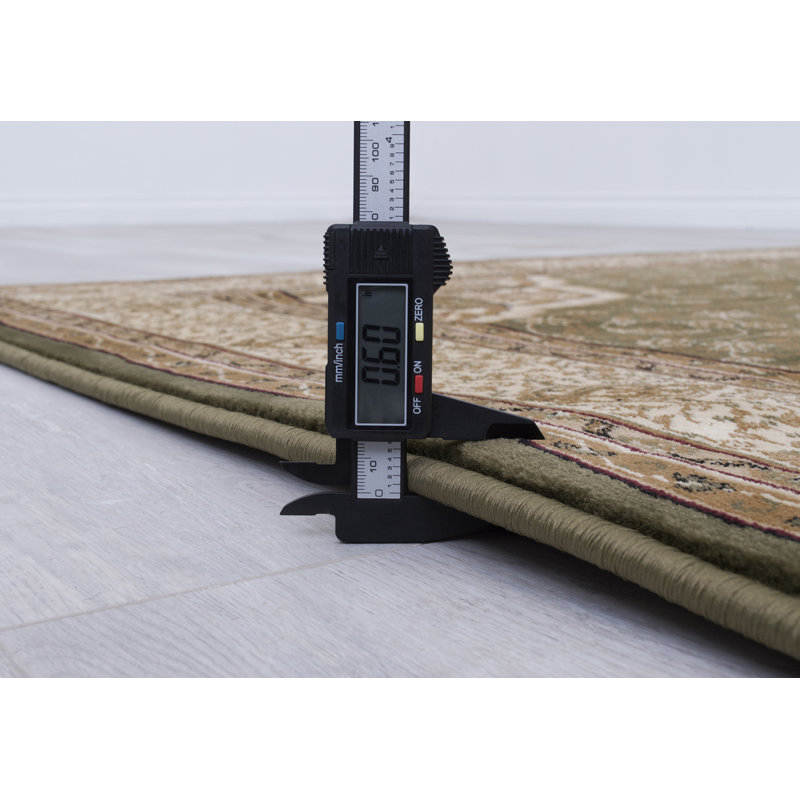 Natalyah Oriental Area Rug in Green/Brown