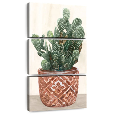 Cactus en pot II